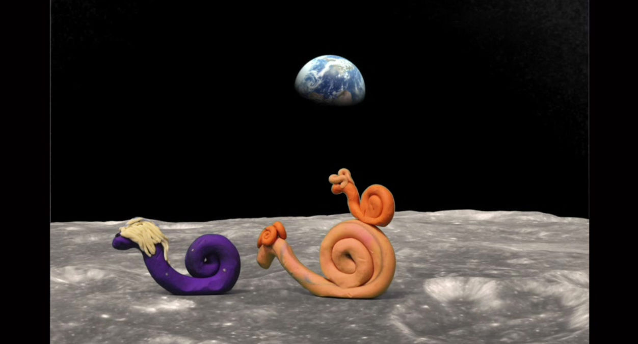 Moonsnails